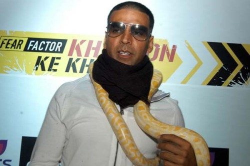 Bollywood club - صفحة 4 Akshay-kumar-with-snake-0509